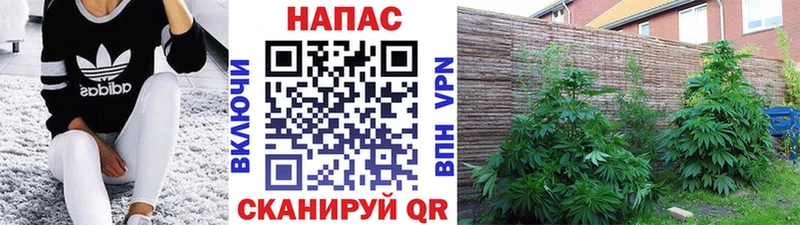 Наркошоп купить Метадон  Меф  Марихуана  Псилоцибиновые грибы  Подпорожье