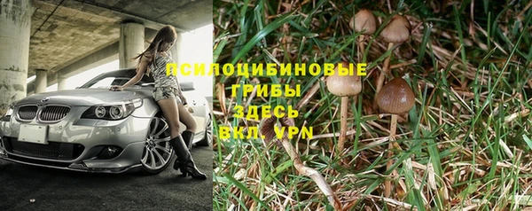 MESCALINE Аркадак