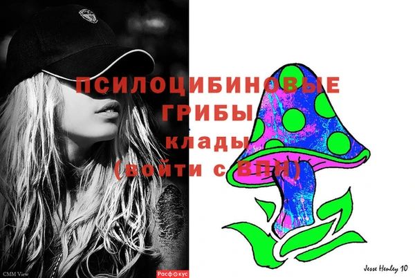 MESCALINE Аркадак