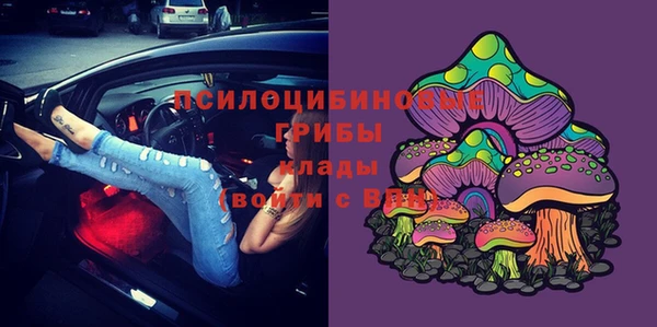 мдпв Арсеньев