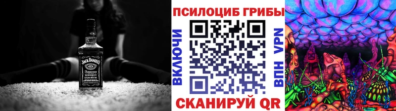Псилоцибиновые грибы мицелий  Купить закладки  Подпорожье 